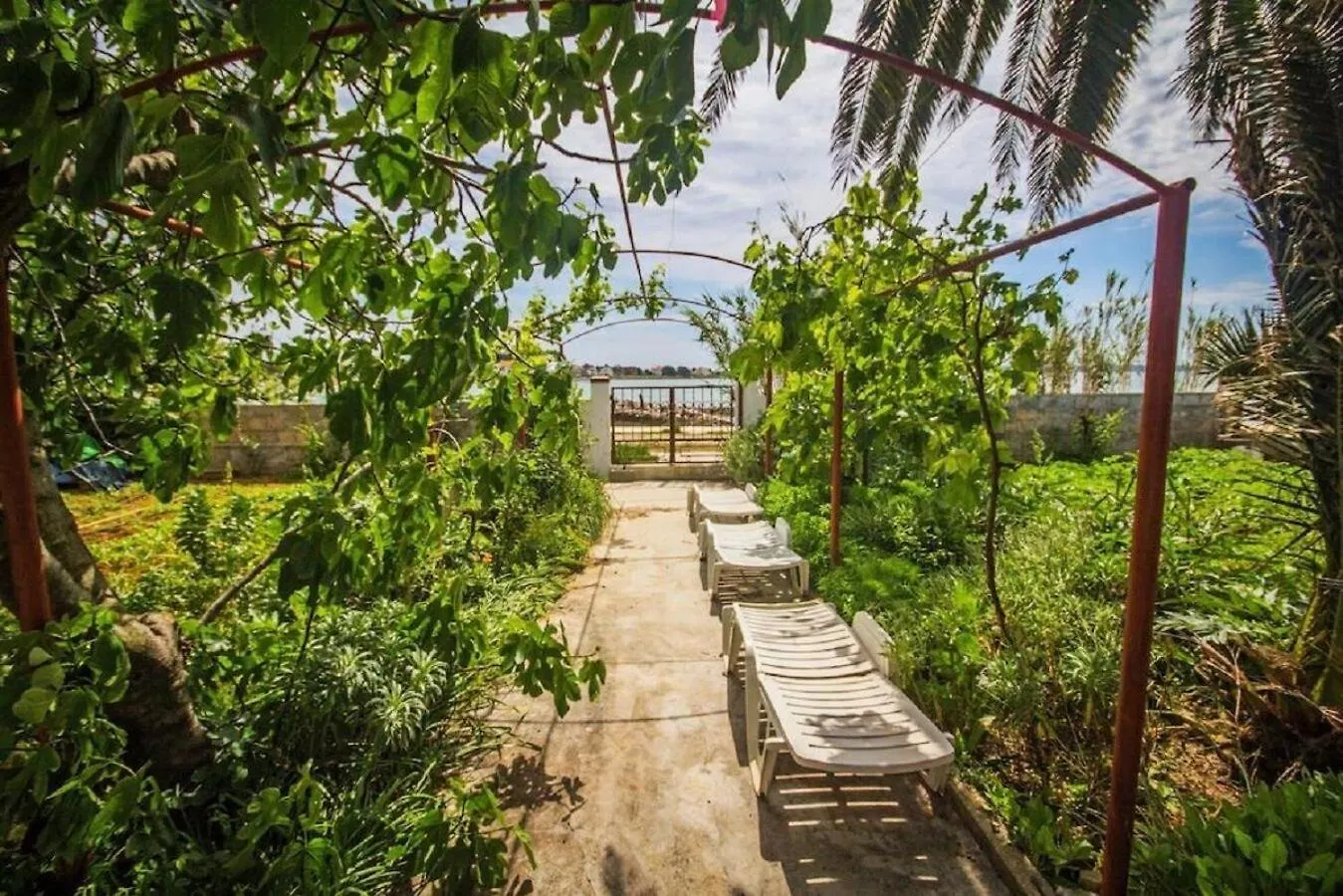 Apartments Teo Privlaka